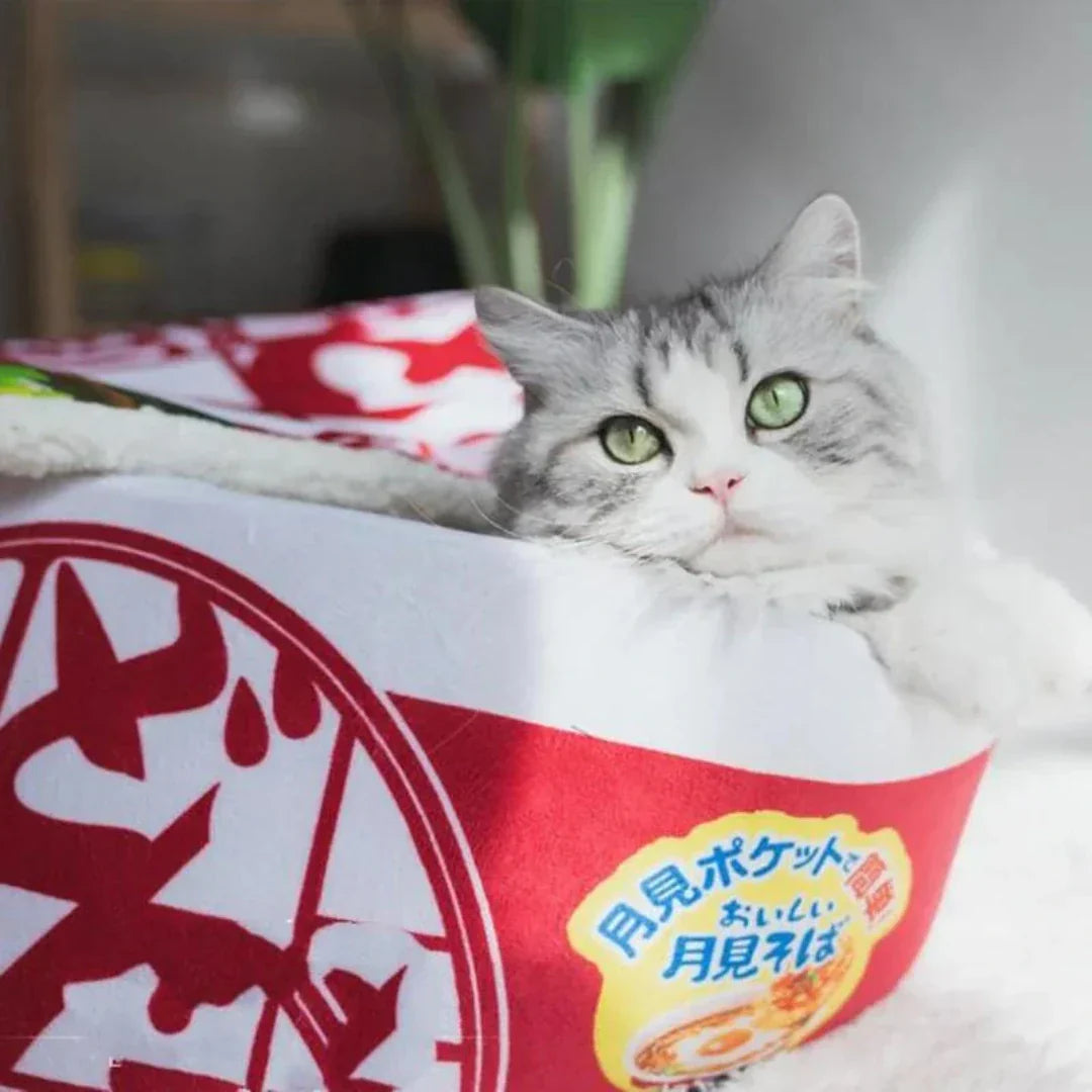 Japanese Style Cat Bed Cozy Comfortable Cat Furniture