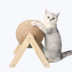 Cat Scratching Ball Toy