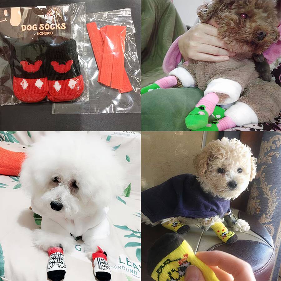 Multicolor Warm Cotton Dog Booties Cozy Pet Shoes for Small and Medium Dogs