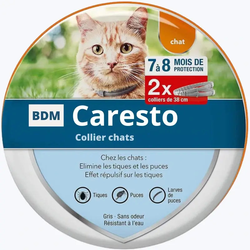 Cat Flea Collar Natural Pest Repellent for Cats