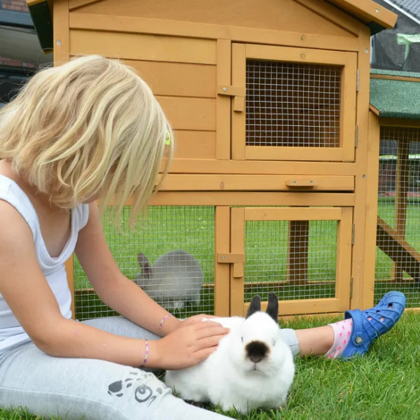 Rabbit Hutch with Run Enclosure 57x21x34 Inches - Large Outdoor Bunny Cage House