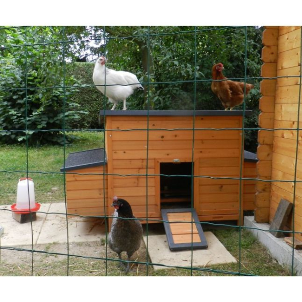 FSC Certified Wooden Chicken Nesting Box 2 Compartment Coop Nesting Box