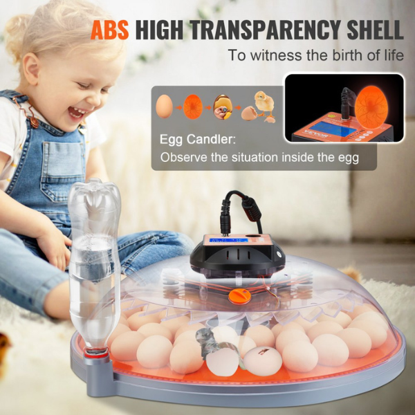Automatic Egg Incubator with Auto Turn Function 48 Eggs Temperature and Humidity Control