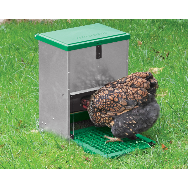 Adjustable Automatic Chicken Feeder 5kg Poultry Feed Dispenser Pest Proof