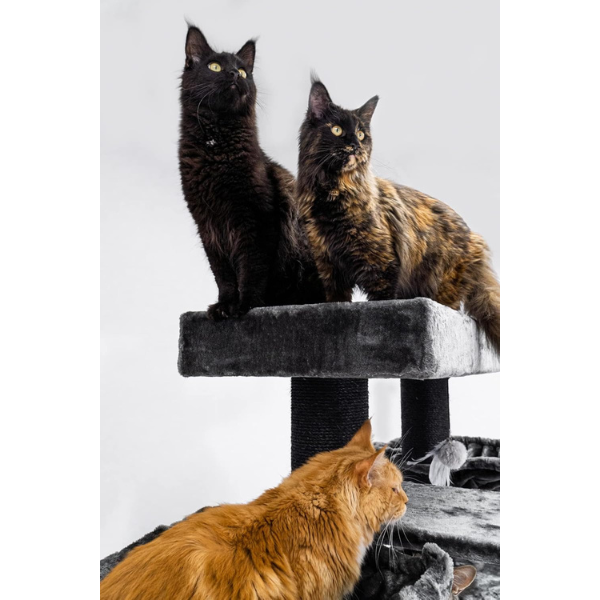 Giant XXL Cat Tree 19 Inch x 69 Inch Extra Large Cat Tower with Scratching Posts