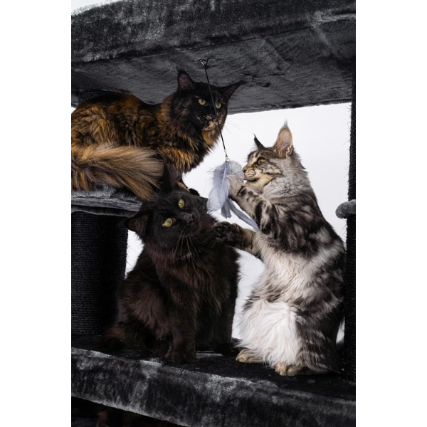 Giant XXL Cat Tree 19 Inch x 69 Inch Extra Large Cat Tower with Scratching Posts