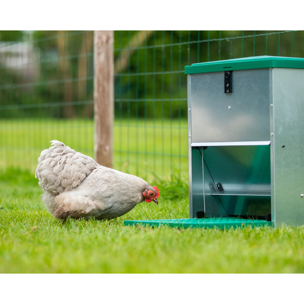 Adjustable Automatic Chicken Feeder 5kg Poultry Feed Dispenser Pest Proof