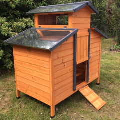 Chicken Coop for 4 to 6 Hens FSC Certified Wood with Opening Roof