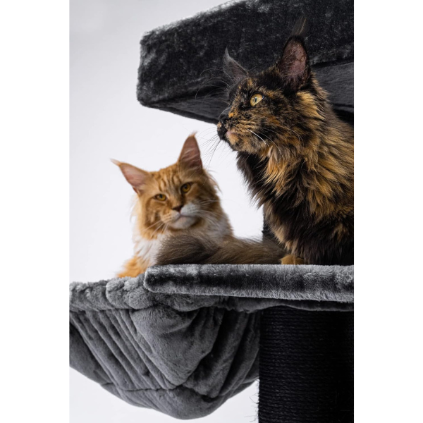 Giant XXL Cat Tree 19 Inch x 69 Inch Extra Large Cat Tower with Scratching Posts