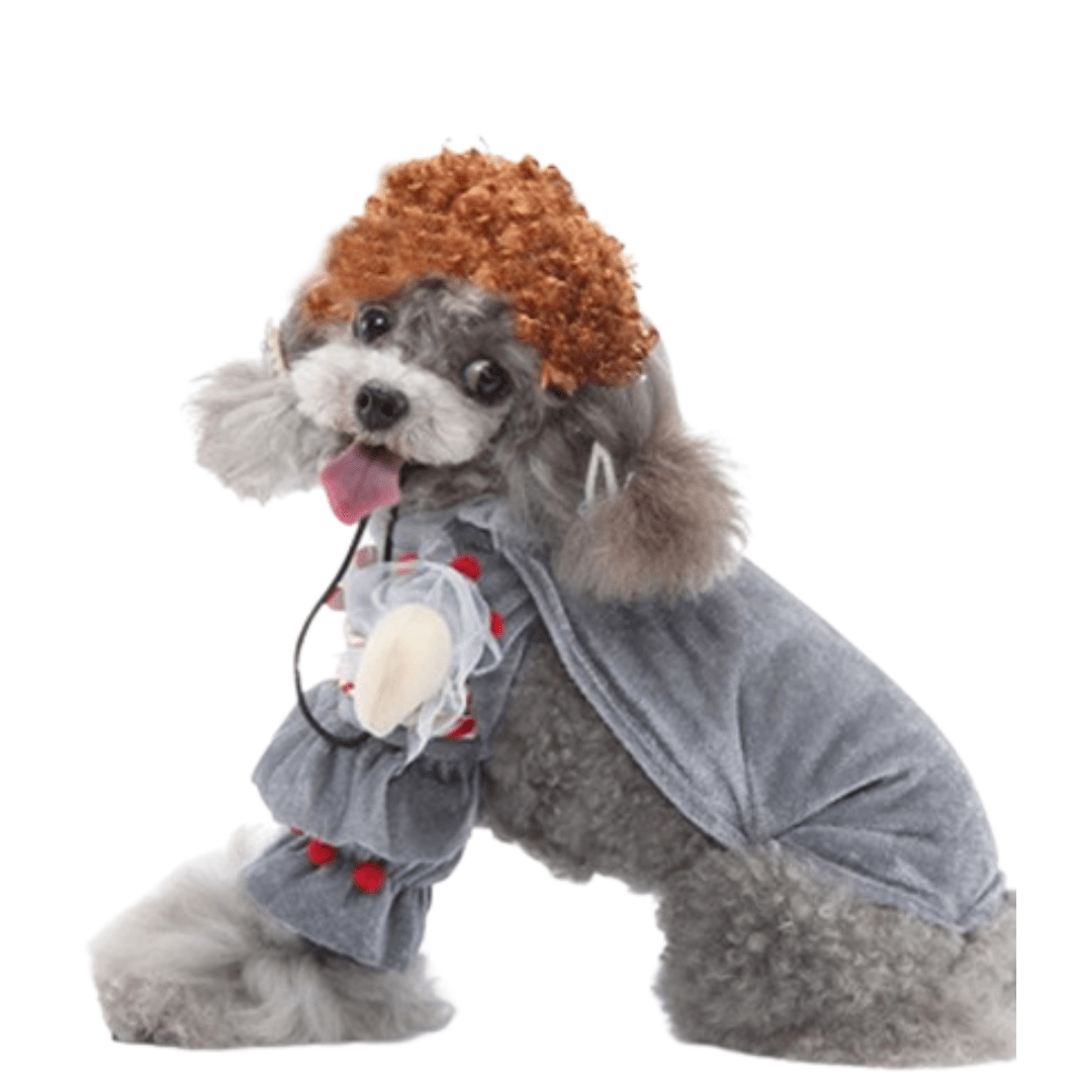 Flu Virus Costume for Dogs and Cats Pet Halloween Outfit