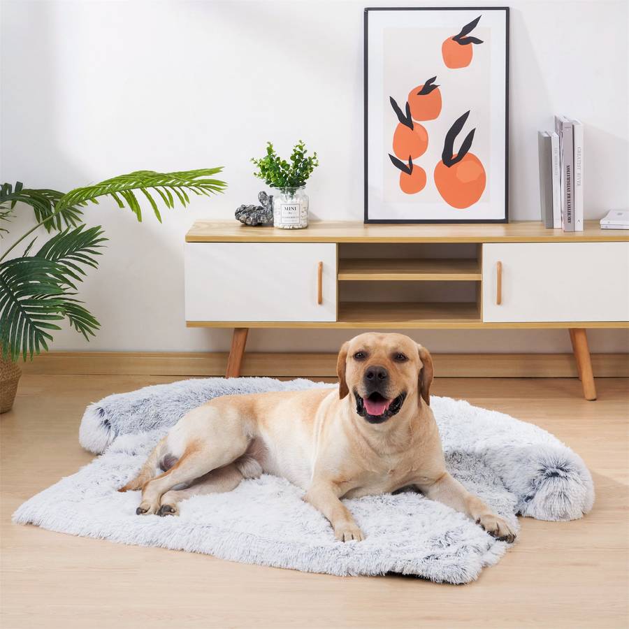 Next Generation Ultra Comfortable Dog Bed