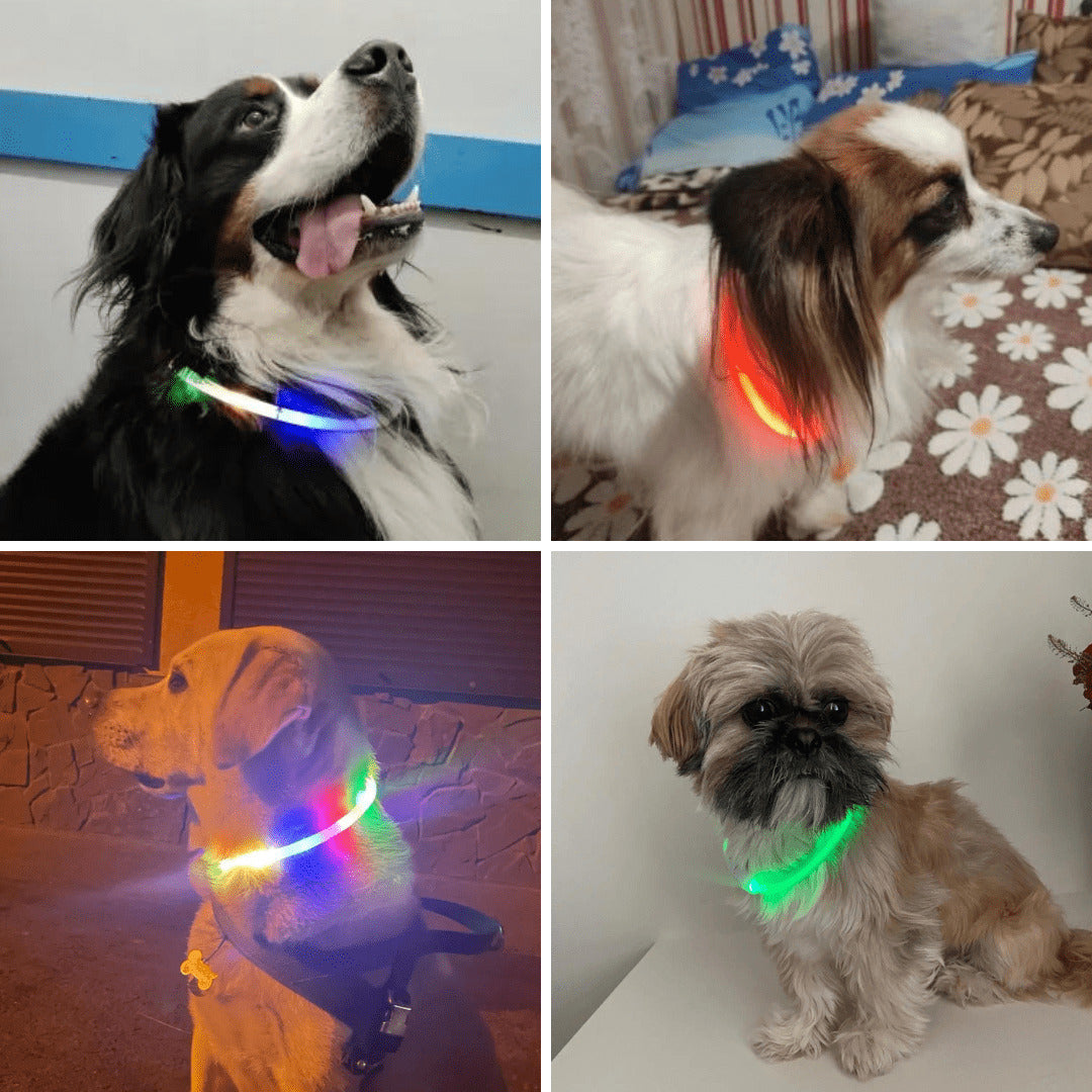 LED Dog Collar Light Up Waterproof Rechargeable Safety Collar for Night Walking