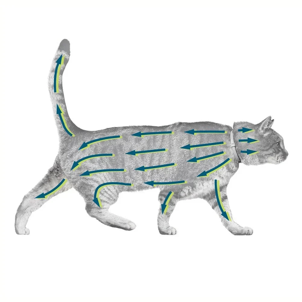 Cat Flea Collar Natural Pest Repellent for Cats