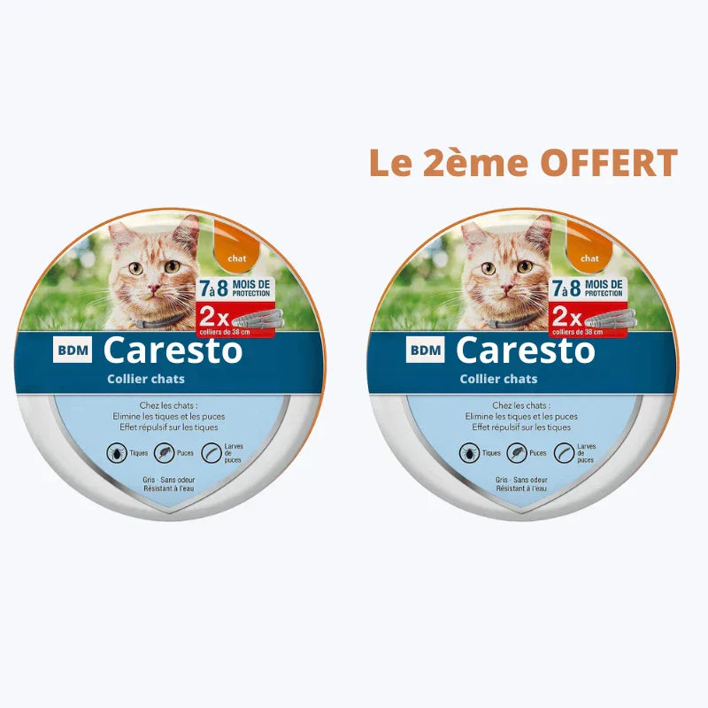 Cat Flea Collar Natural Pest Repellent for Cats