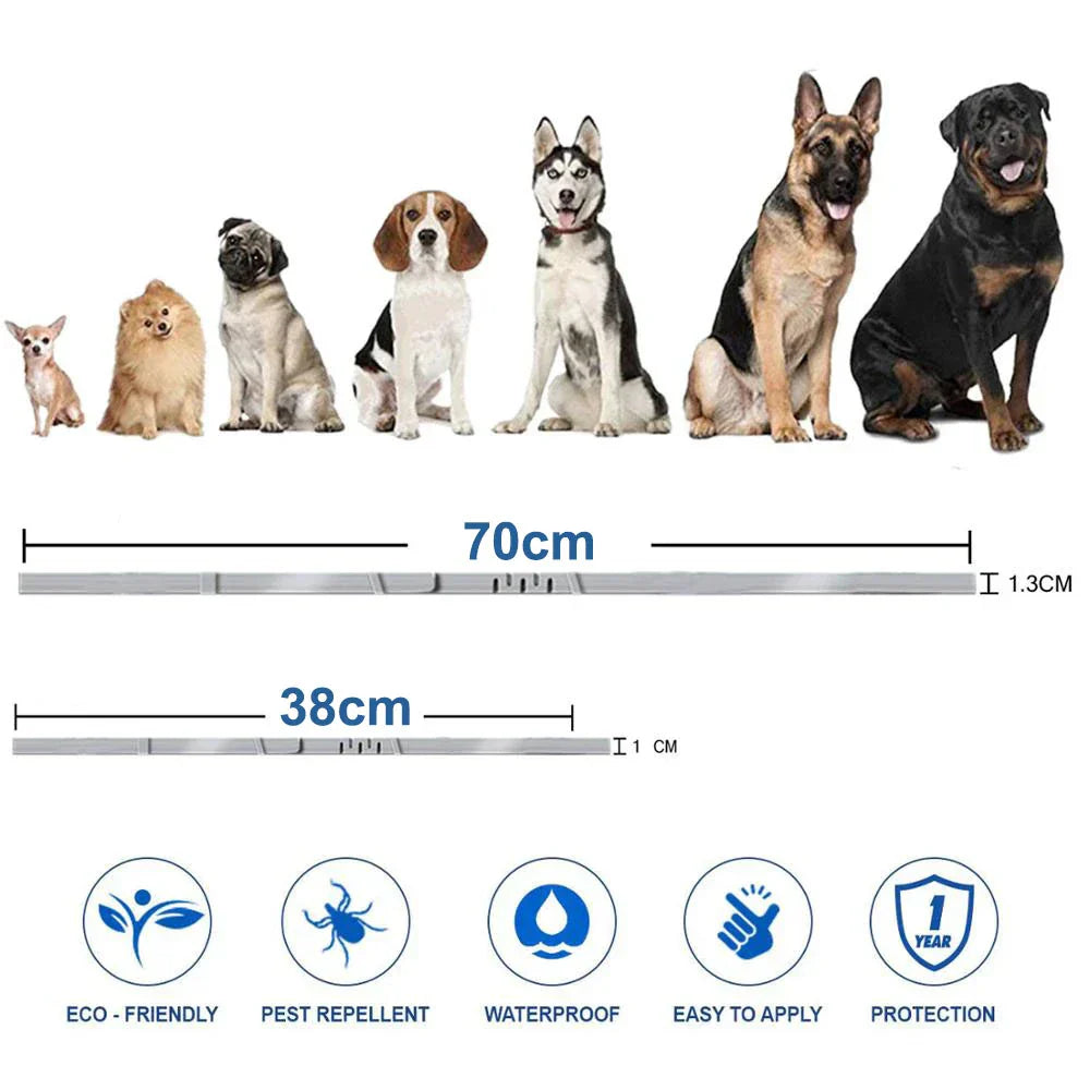Cat Flea Collar Natural Pest Repellent for Cats