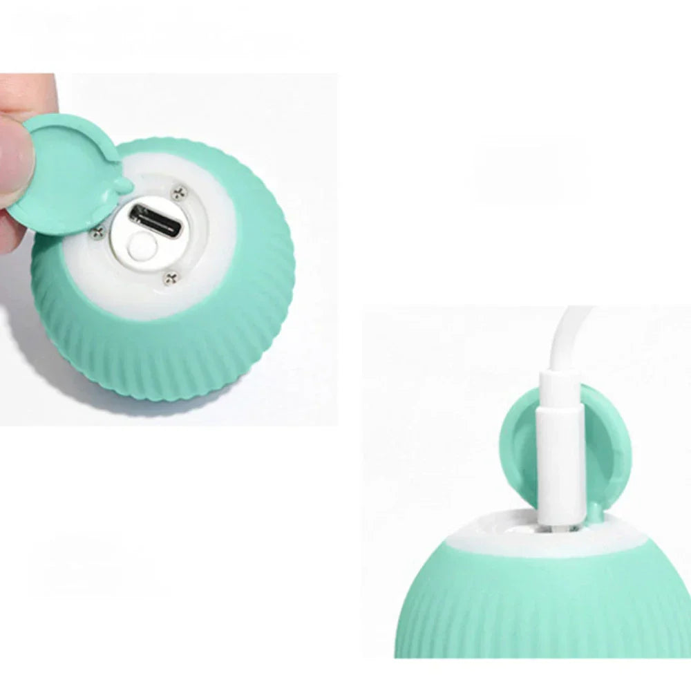 Interactive Cat Ball Toy