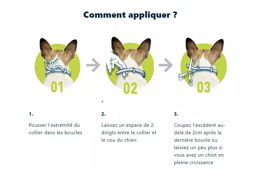 Cat Flea Collar Natural Pest Repellent for Cats