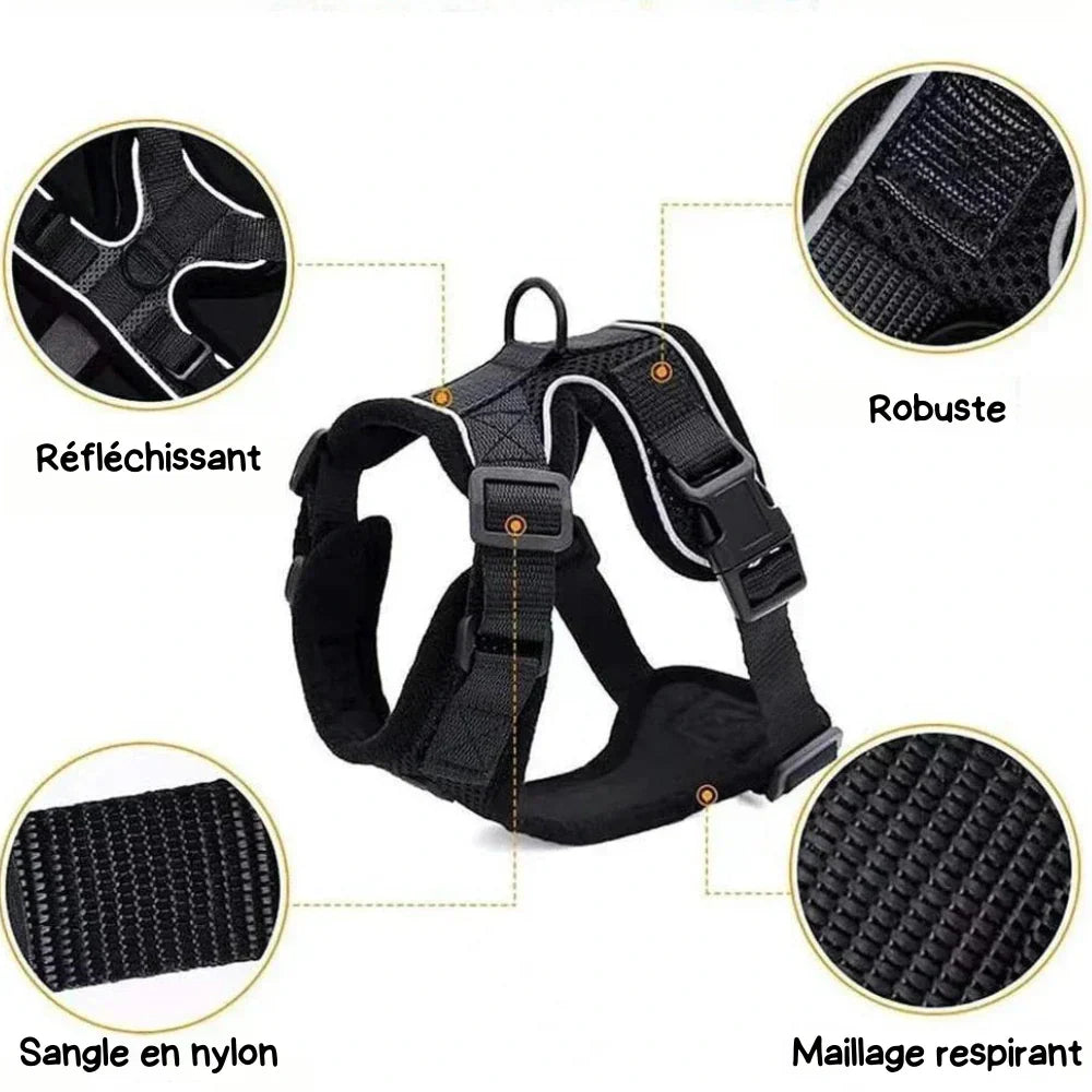 Escape Proof Cat Harness Adjustable No Escape Cat Harness for Outdoor Safety