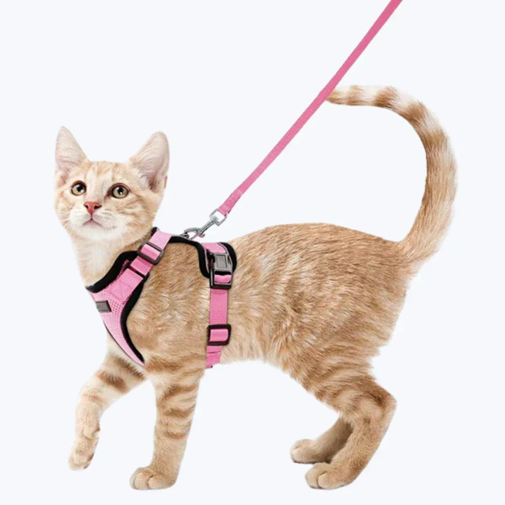 Escape Proof Cat Harness Adjustable No Escape Cat Harness for Outdoor Safety