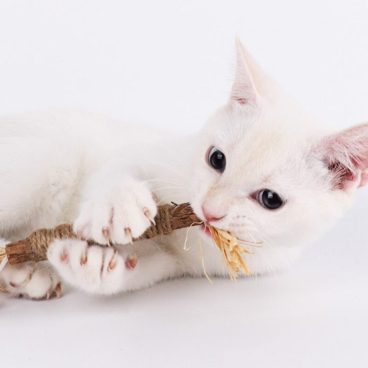 Cat Chew Stick Natural Dental Treat for Cats
