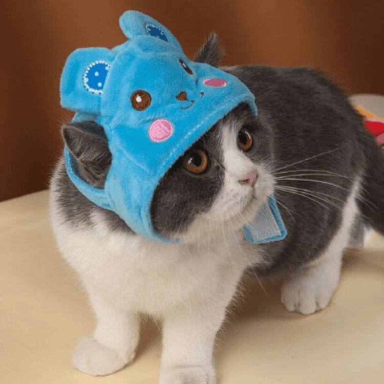 Animal Shaped Cat Hat Cute Pet Costume Accessory for Cats