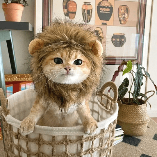 Lion Mane Wig Costume for Cats Cat Dress Up Pet Halloween Accessory
