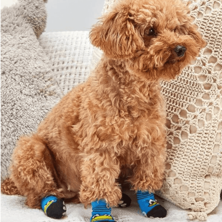 Dog Socks Duck Pattern Pet Footwear Protective Booties