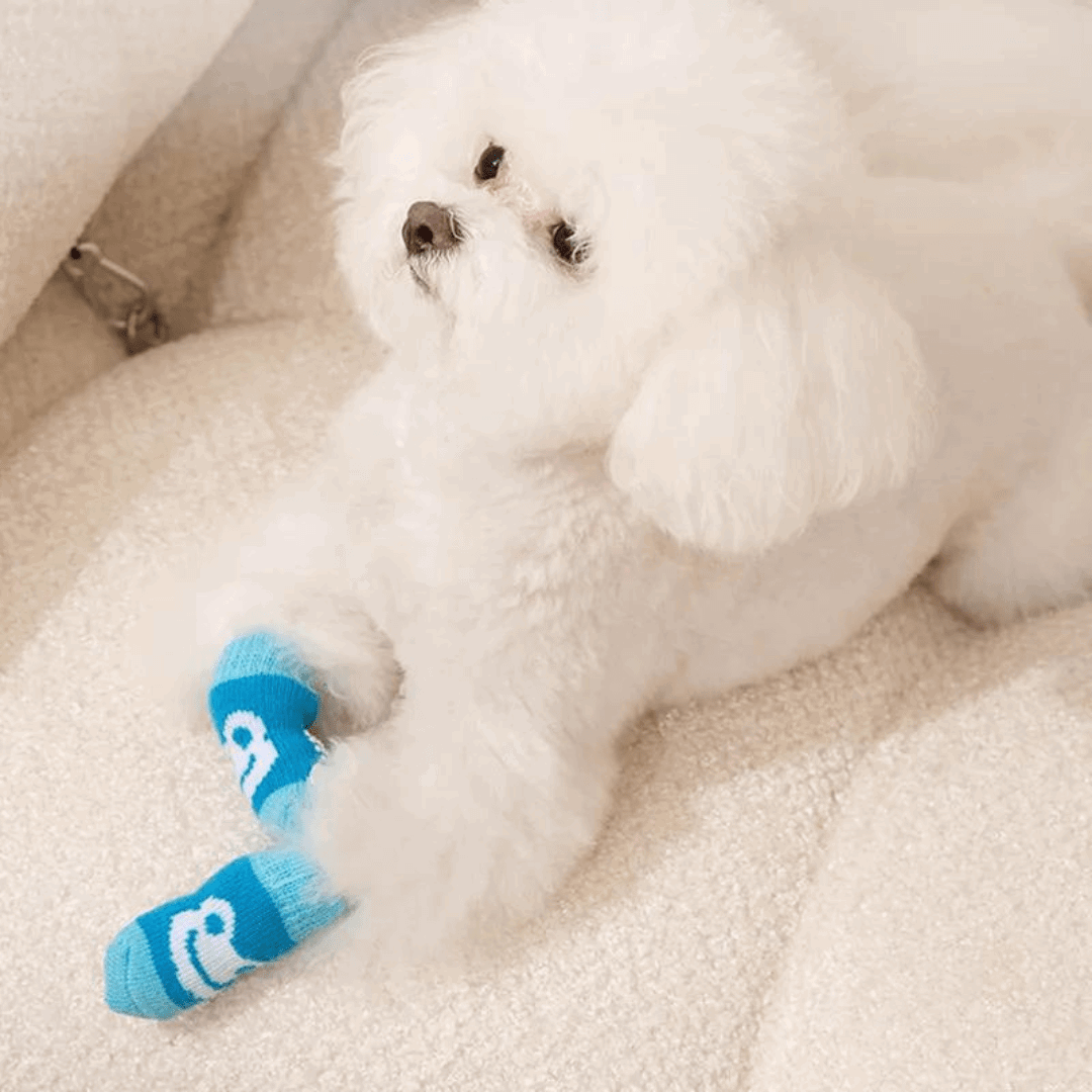 Dog Socks Non Slip Blue Frog Pattern Pet Sock Shoes