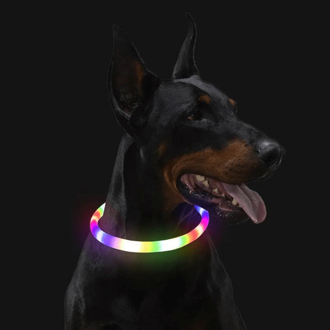 LED Dog Collar Light Up Waterproof Rechargeable Safety Collar for Night Walking