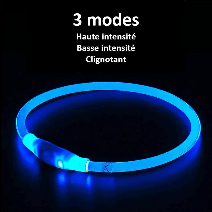 LED Dog Collar Light Up Waterproof Rechargeable Safety Collar for Night Walking