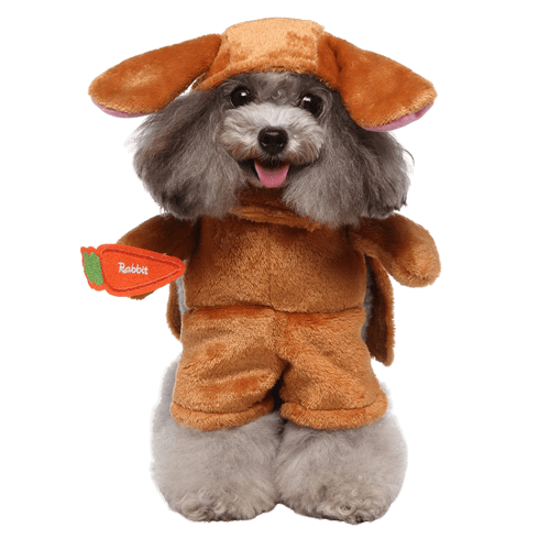 Pet Costume for Cats and Dogs Bunny Outfit