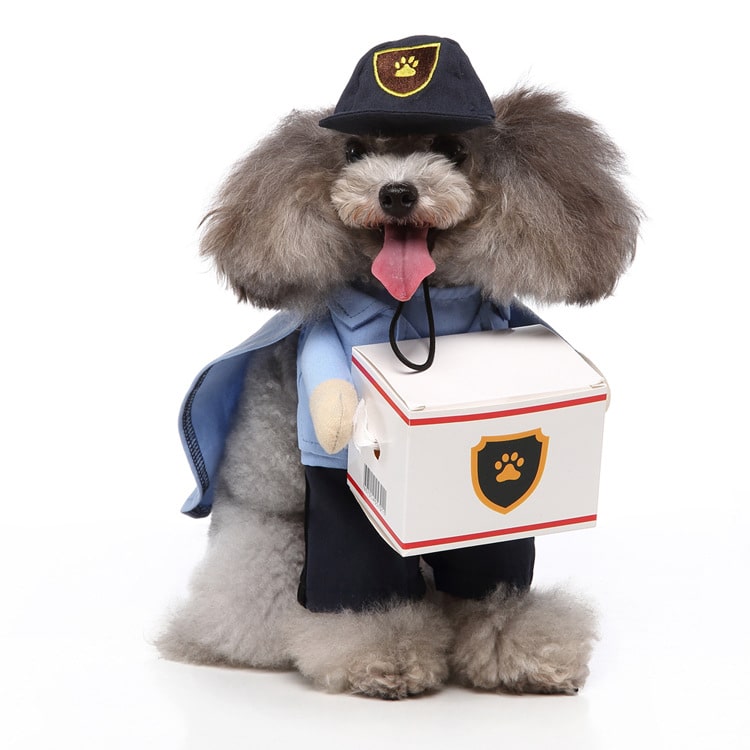 Delivery Driver Costume for Cats and Dogs Pet Outfit