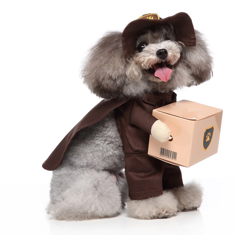 Pet Costume for Cats and Dogs - Package Delivery Driver Outfit