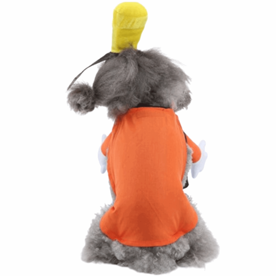 Costume for Cats and Dogs - Dingo Pet Outfit