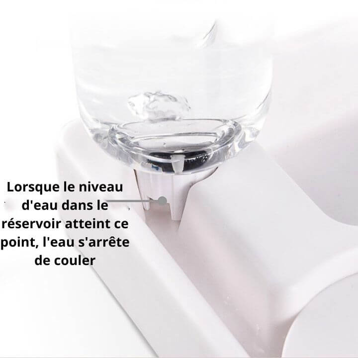 Designer Cat Bowl Stylish Pet Feeding Dish