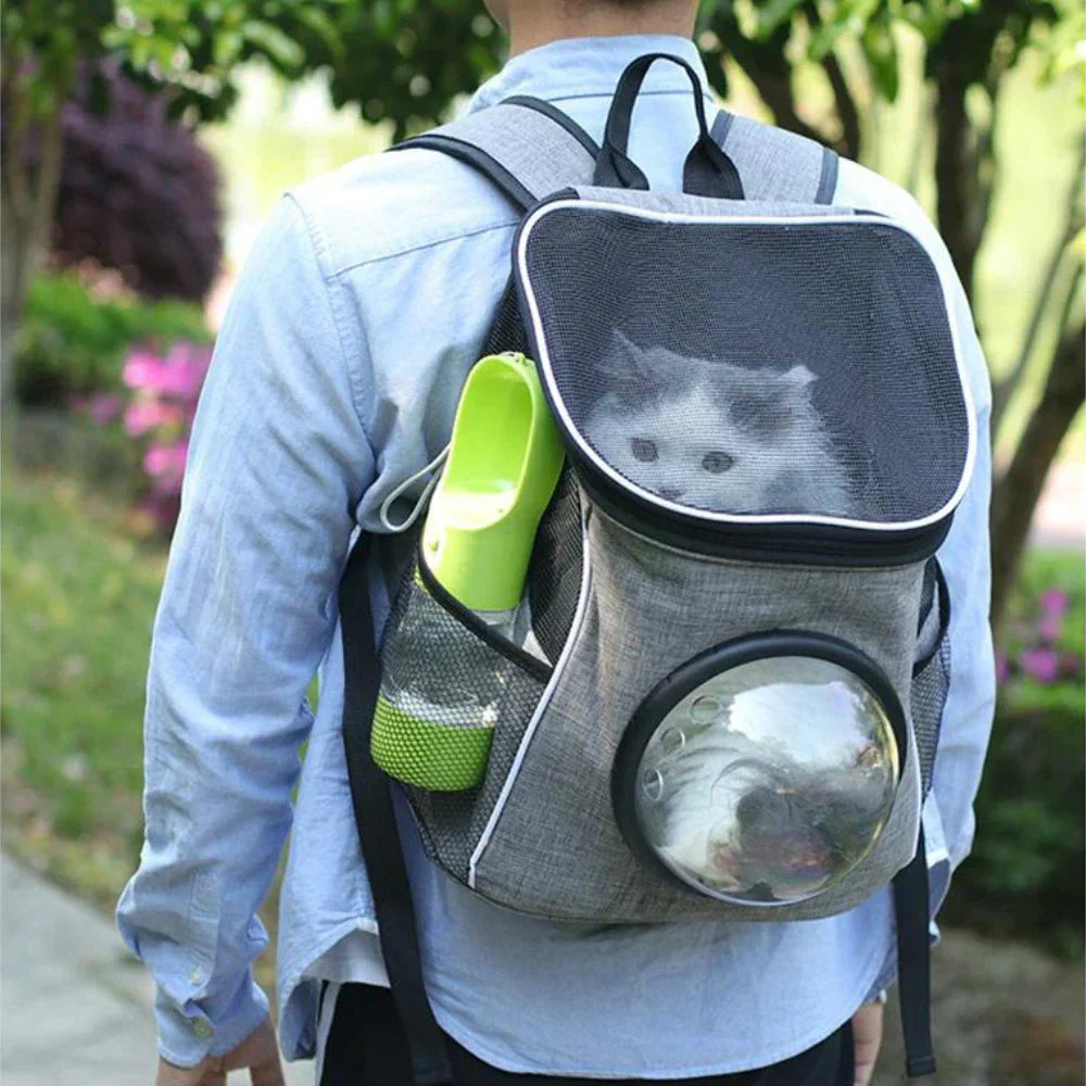 Cat Water Bottle Durable Portable Pet Travel Bottle