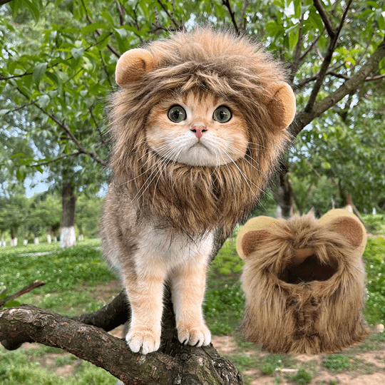 Lion Mane Wig Costume for Cats Cat Dress Up Pet Halloween Accessory