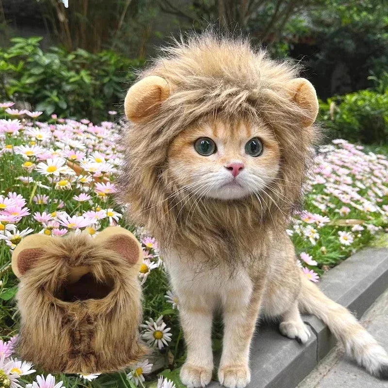 Lion Mane Wig Costume for Cats Cat Dress Up Pet Halloween Accessory