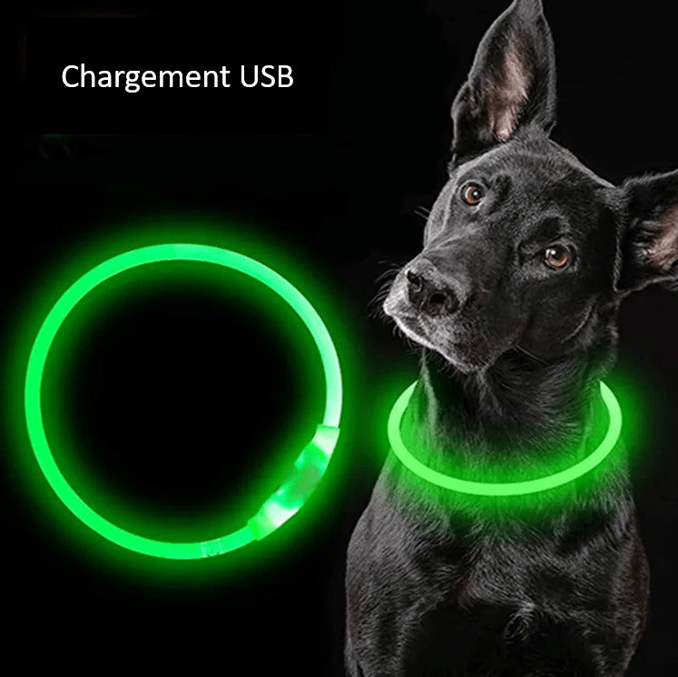 LED Dog Collar Light Up Waterproof Rechargeable Safety Collar for Night Walking