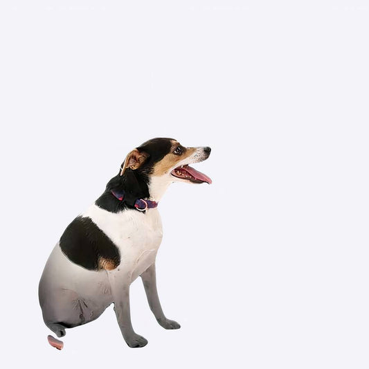 Car Dog Barrier for Vehicle Backseat Pet Safety Divider