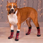 Non slip dog socks with grippy soles for slippery floors