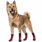 Non slip dog socks with grippy soles for slippery floors