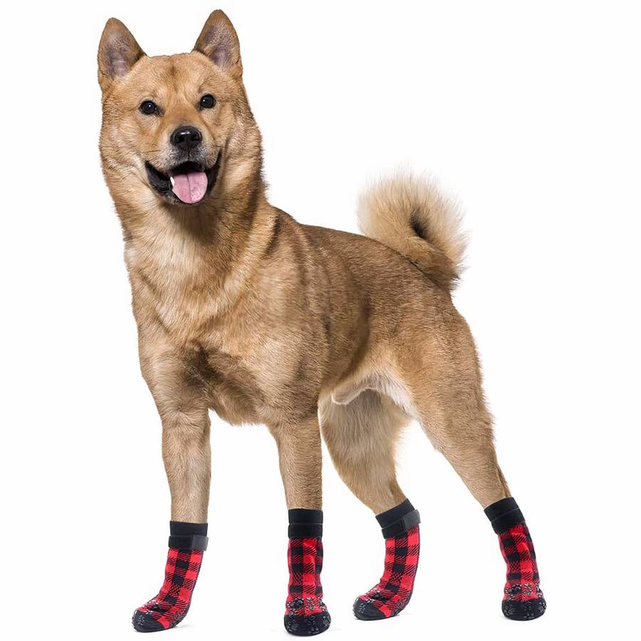Non slip dog socks with grippy soles for slippery floors