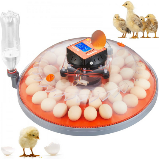 Automatic Egg Incubator with Auto Turn Function 48 Eggs Temperature and Humidity Control