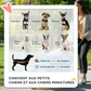 Dog Stroller with 4 Swivel Wheels Pet Jogger for Small Dogs Mobile Puppy Carrier