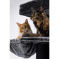 Giant XXL Cat Tree 19 Inch x 69 Inch Extra Large Cat Tower with Scratching Posts
