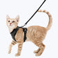 Escape Proof Cat Harness Adjustable No Escape Cat Harness for Outdoor Safety