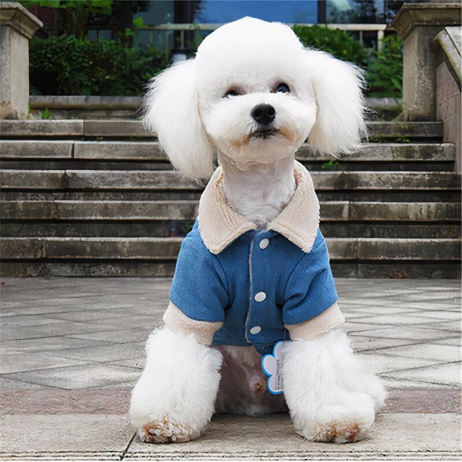 Winter Dog Coat Denim Jacket Warm Pet Outerwear