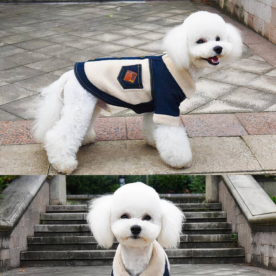 Winter Dog Coat Denim Jacket Warm Pet Outerwear
