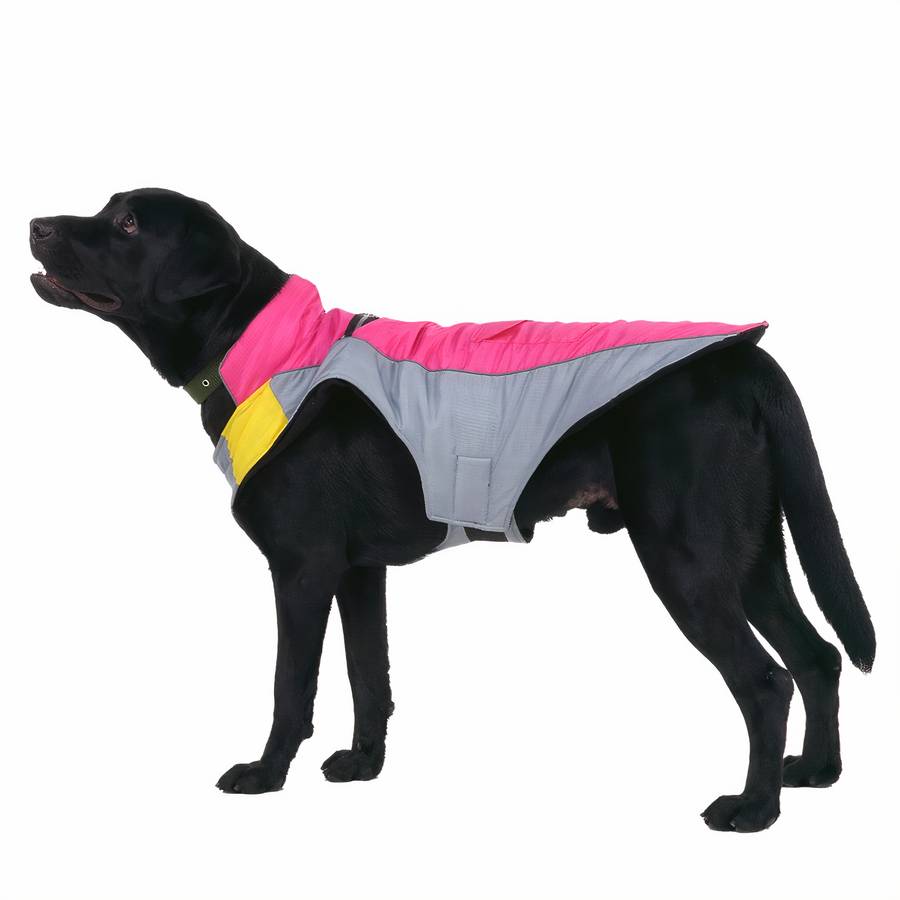 Waterproof Two-Tone Fleece Jacket for Men and Women